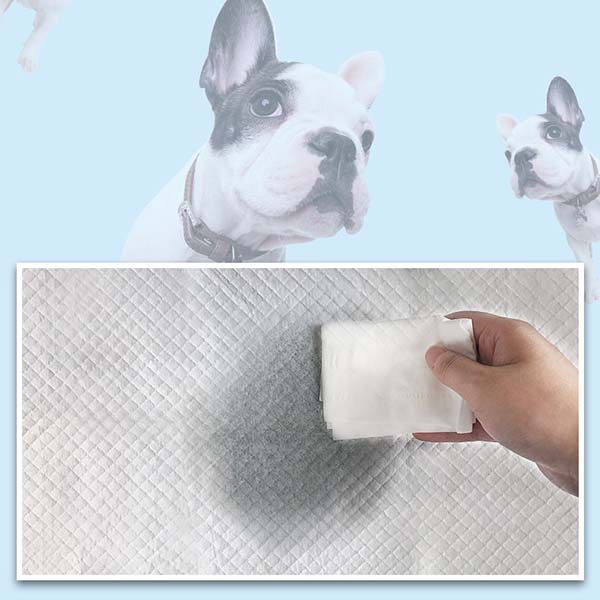 Pet Pads For Training Pet Pads For Training