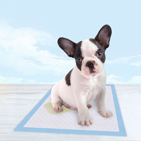 Wholesale Dog Training Pads Wholesale Dog Training Pads
